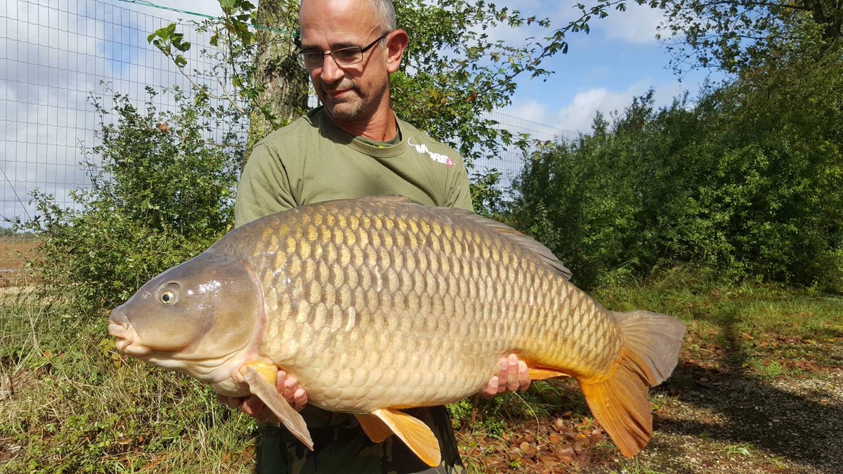CoreBaits_uk's tweet photo. Steve session consisted of 7x20's 11x30's 2x40's & a new pb of 62lb 8oz all falling too CB4 wafters and beds of CB4 boilies. #CB4effect #CB4 https://t.co/tGWUH6Ivd6