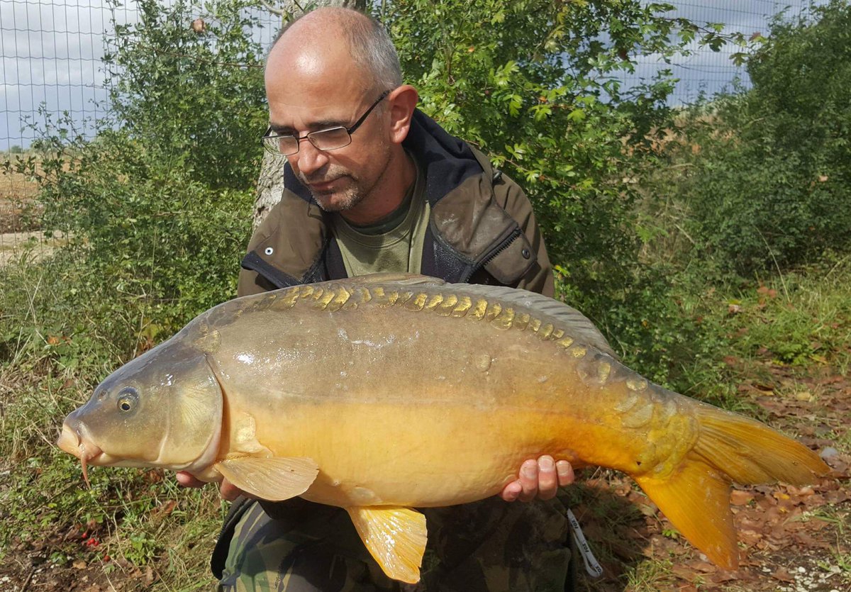 CoreBaits_uk's tweet photo. Steve session consisted of 7x20's 11x30's 2x40's & a new pb of 62lb 8oz all falling too CB4 wafters and beds of CB4 boilies. #CB4effect #CB4 https://t.co/tGWUH6Ivd6