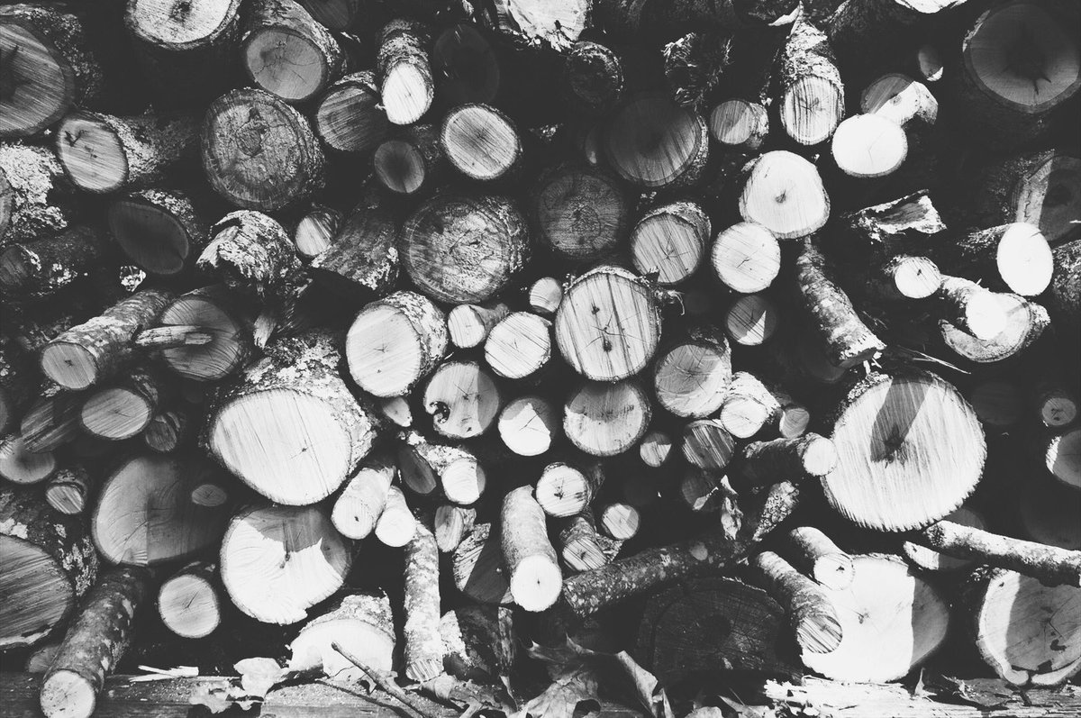 bkyoungus's tweet photo. After Hurricane Irma I had plenty of trees to put out of their misery, unfortunately #counciltool #hudsonbayaxe and a MF'n chainsaw https://t.co/qEPNnOTYKi