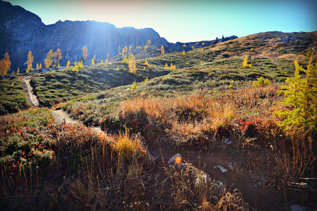 NWHealthyMama's tweet photo. Hello October! Fun to wake up &amp; see my pic as the cover for @WTA_hikers FB! Search Heather Maple Loop pass on the blog for info on this hike https://t.co/SFxX4Qu75N