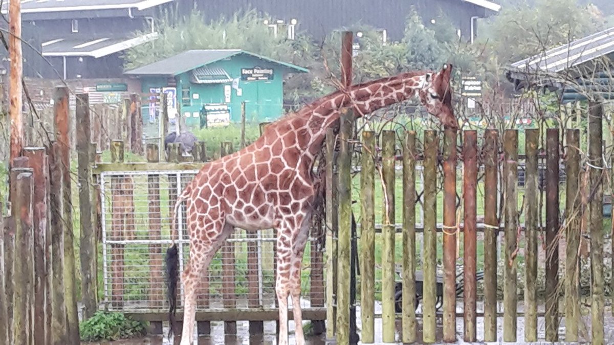 Some photos from our County trip to <a href="/BlairDrummondSP/">Blair Drummond SP</a>