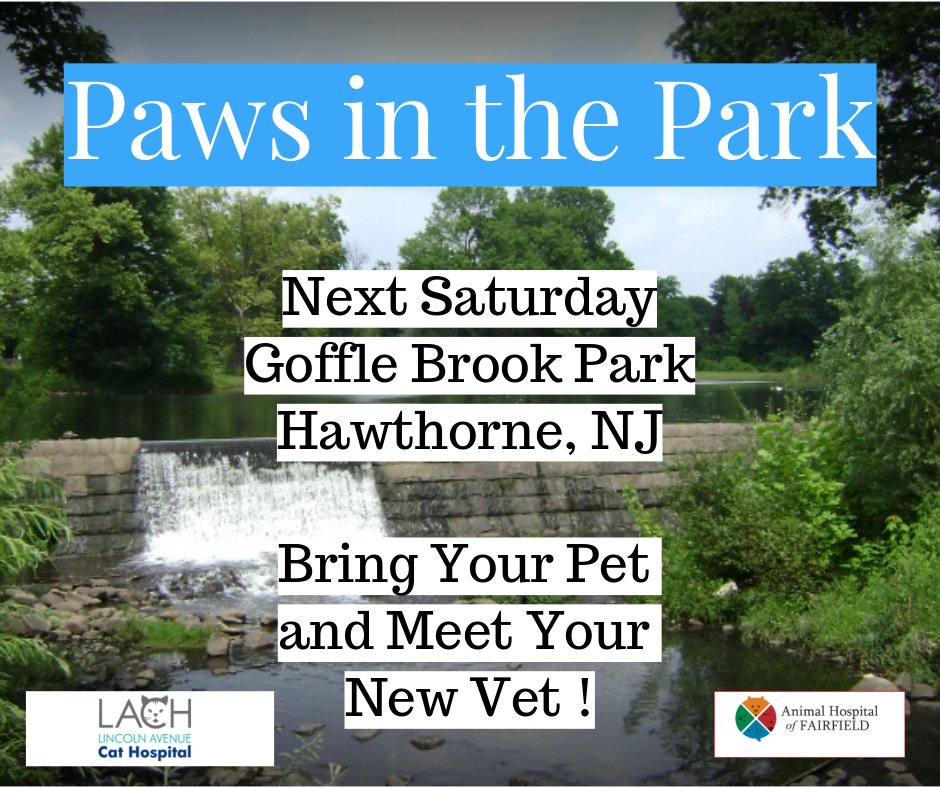 AHofFairfield's tweet photo. @lach@Ahof#meetandgreet@veterinarians#funfordogs#wellcare#fairfieldnjvet#catfriendlydestination#cats#gofflebrookpark@pawsforpets#seeyouthere https://t.co/kvmXGNzBGq