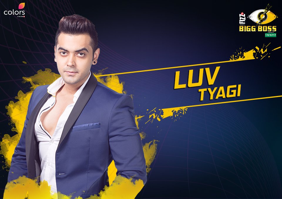 Bigg Boss Hindi Season 11 Contestants List with Photos (Updated)