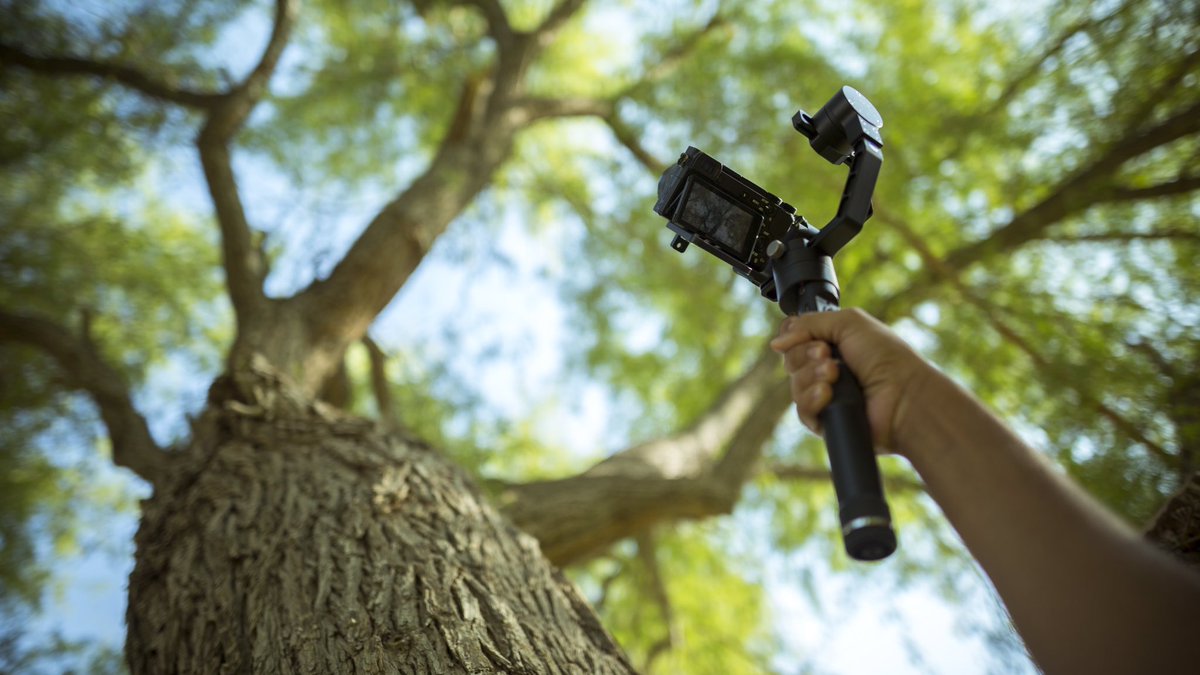 Work = Fun 🤸‍♀️