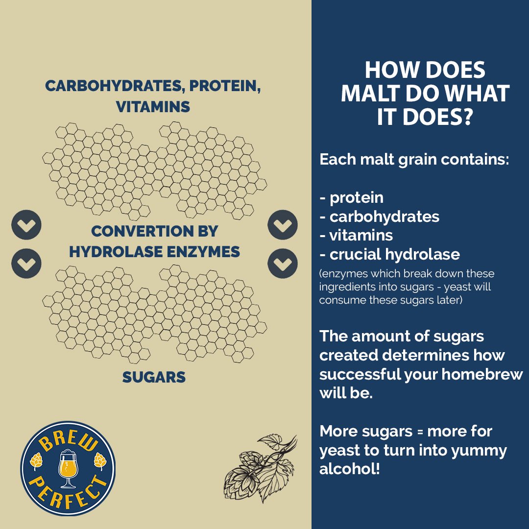 BrewCloud's tweet photo. RT @_BrewPerfect: Do you know what #malt does and how it works?
#brewperfect #homebrewing #beer https://t.co/qJl4kW0t4y