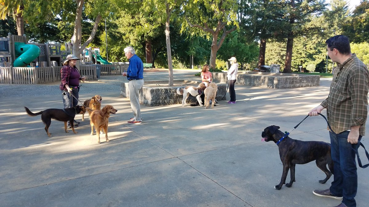 VacaNolan's tweet photo. Getting ready to bless the animals. Service starts at 9:15. Andrews Park #Vacaville https://t.co/p9RBJLZHrI