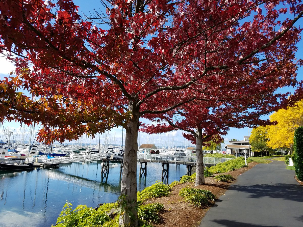 BoatingJourney's tweet photo. New #blog post: https://t.co/vL8I3SZ720 #boatingjourney #boatingblogs https://t.co/sZ8sEqGJtN