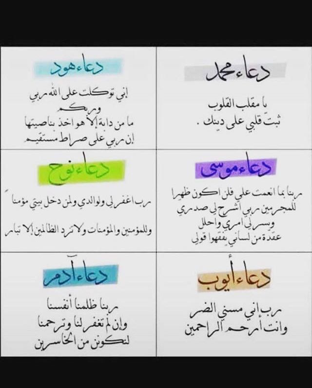 113ragd tweet picture