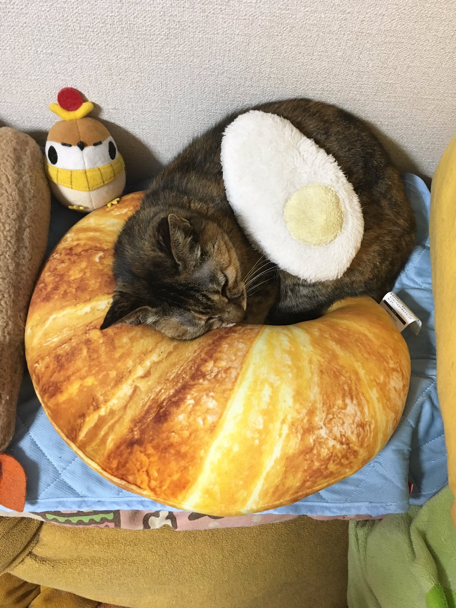 ぽんた ニトリのパンクッションを 前から普通に使ってましたがにゃにか 的に ドヤって使ってたから とりあえず目玉焼き乗っけてみたw ニトリのパンクッション ニトリパン パンクッション クロワッサンクッション T Co Z4dq6bshtm Twitter