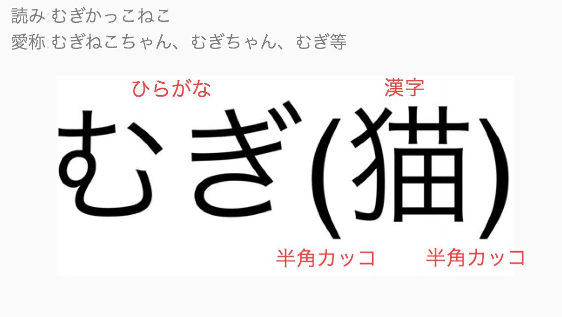 名前について Twitter Search Twitter