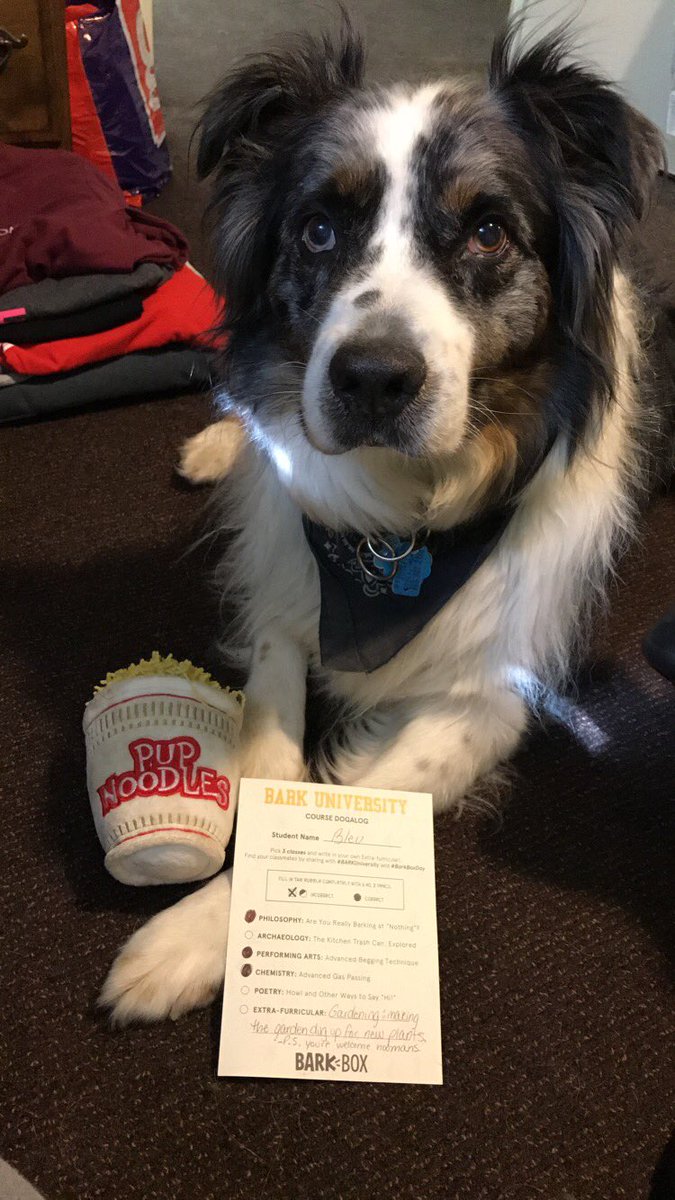 1Readler's tweet photo. I'm a crazy dog mom already... ❤️#BARKUniversity https://t.co/TPZxUNs5Pa