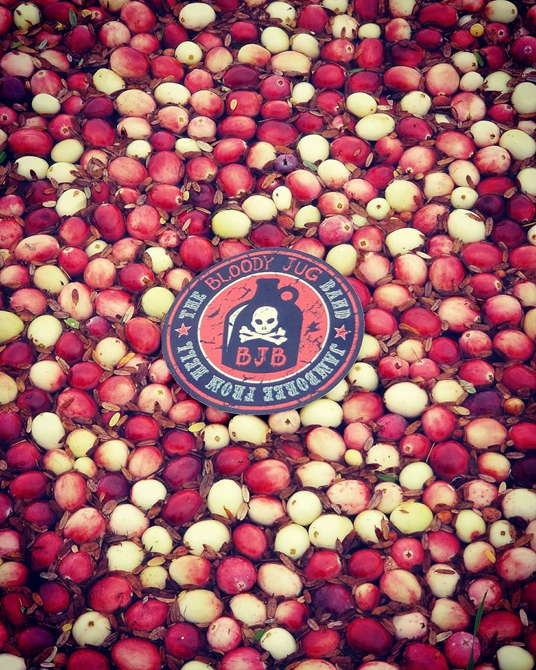 TheBJB's tweet photo. Ohhh...So JUG-ly & So TART!!! #theBJB #CranberryMarsh #SubversiveJUG https://t.co/2m5G9EKpYN