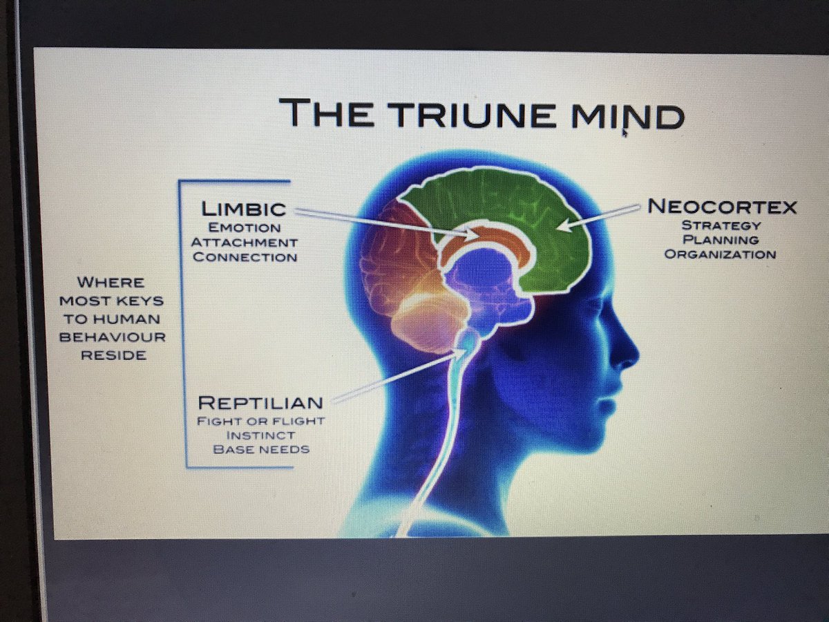 certifiedcoach's tweet photo. CCF CEO Rod Macdonald is giving a timely and fascinating presentation on Human Behaviour. Brilliant!
#lifecoachconference #lifecoach https://t.co/nesOZCkxS1