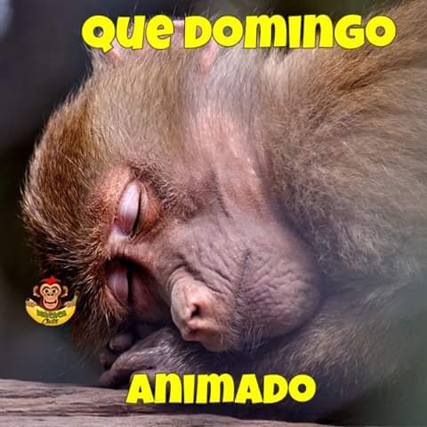 Mari Lopes (@marijsm160) on Twitter photo 