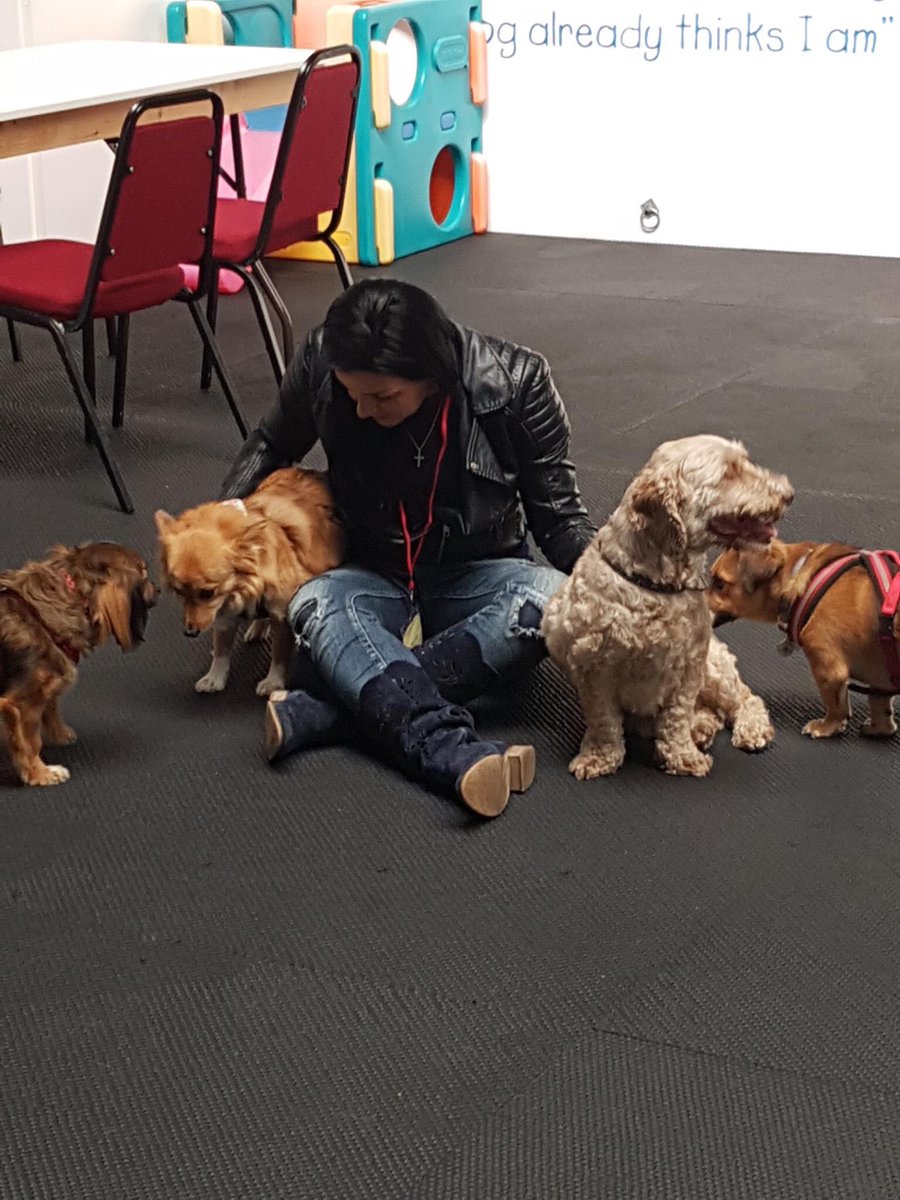 bidtosaveastray's tweet photo. A great day, please come back tomorrow. Friends, adopters, sponsors and winter essentails all welcome in Wonderland. Thanks for following. https://t.co/WTUgTKDmR1