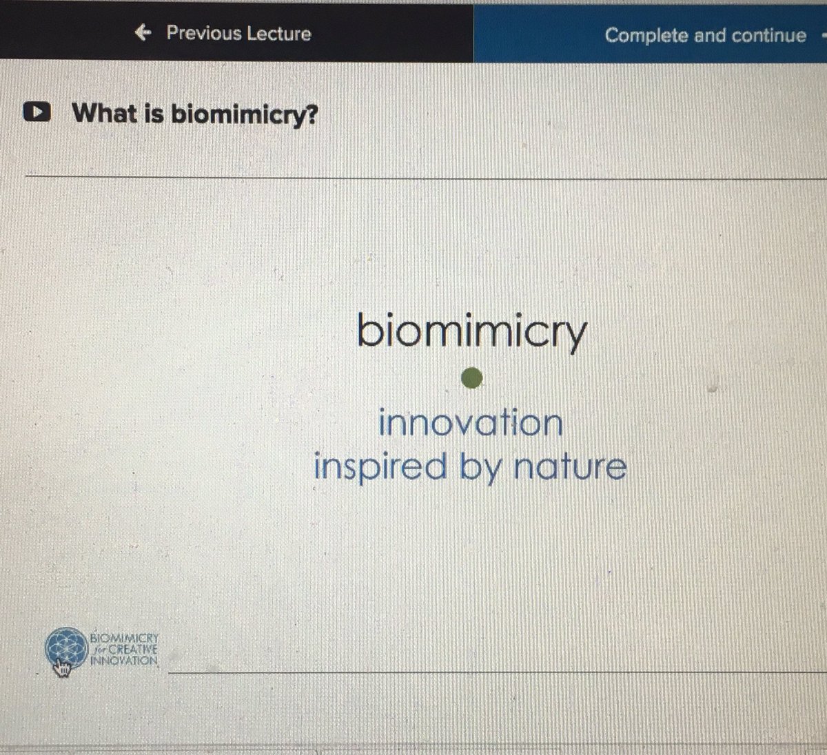 InesTalla's tweet photo. New favourite sunday evening activity; learning more about #biomimicry and #nature - Thx Denise @biomimicrybiz for your generosity https://t.co/v4rfzm4bru