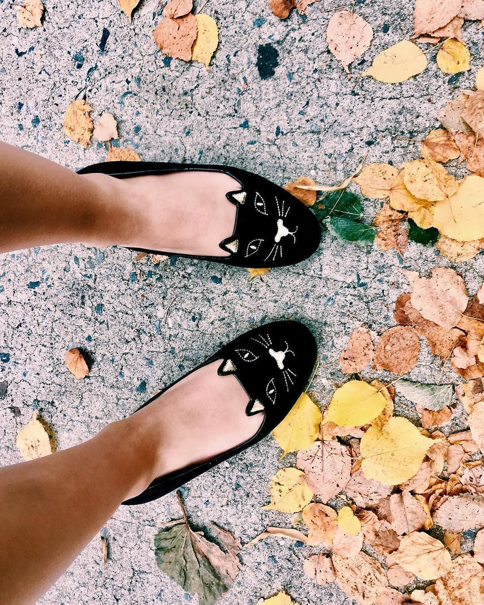 charlottes_web's tweet photo. Step into autumn with the Kitty Flats. Share how you wear Charlotte Olympia with hashtag #CaughtInCharlottesWeb https://t.co/hw098uVoL4 https://t.co/rcx8EDZNHh
