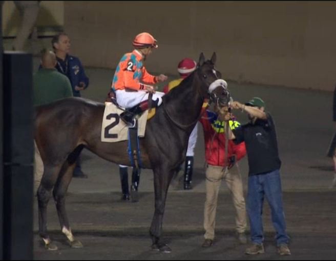 SunriseStallion's tweet photo. Gabrielle Farm's homebred Frosty Margarita, by #FrostGiant, has banked $457k after rallying win at Meadowlands! #FrostGiant @nytbreeders https://t.co/dsAfz7GEKI