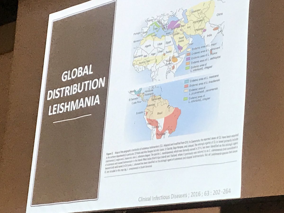 hcphtx's tweet photo. Always enjoy listening to Dr. Woc-Colburn @DocWoc71 from @bcmhouston. Fascinating story about #human #animal #leishmaniasis. #OneHealth2017 https://t.co/lF123GfgjE