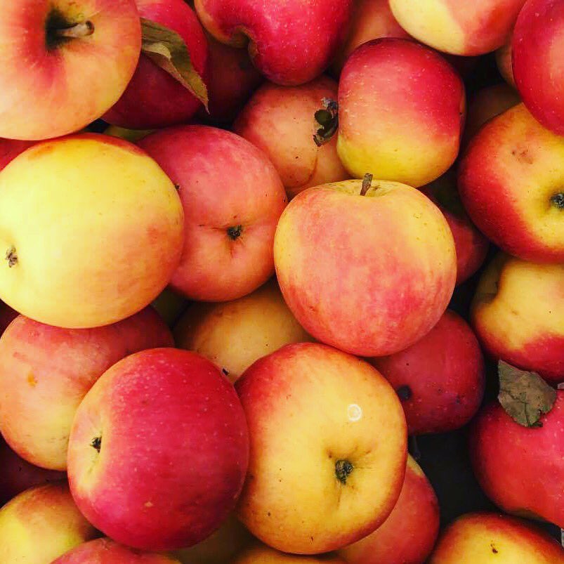 mysavione's tweet photo. A local apple a day will keep the doctor away! Get a bunch of these gorgeous crisp apples at orders@savione.com #supportlocal https://t.co/lIjbScb3Nz