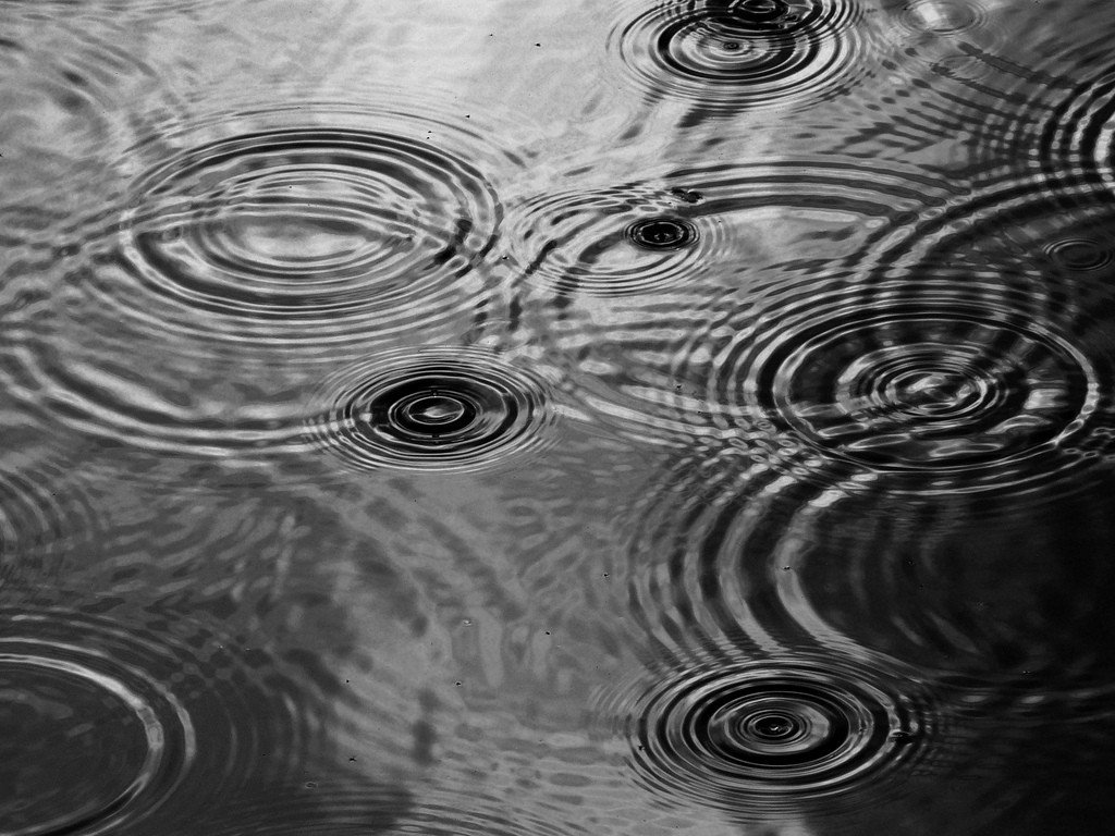 ripples on a pond ebook torrents