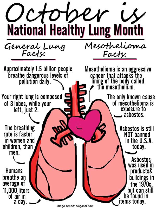 hosafhp's tweet photo. Hey HOSA, October is Healthy Lung Month. So drop that phone and let's get some exercise. @LungAssociation https://t.co/gGwjhiCsrp