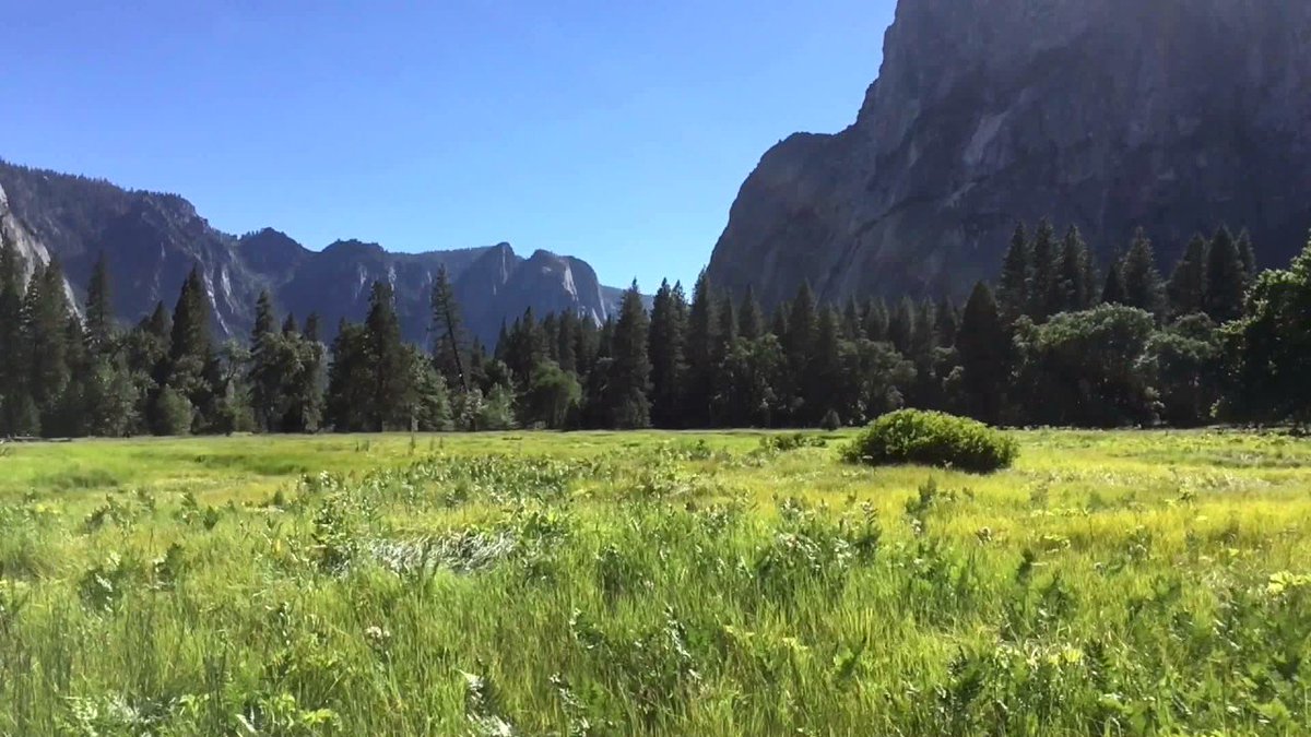 davidbuchsmusic's tweet photo. #Relax and #Listen to #healing music and #Yosemite Valley.
Yosemite Valley - https://t.co/SRcUHRLaT7

#yoga #mindfulness #sleep #insomnia https://t.co/95KgBepUwk