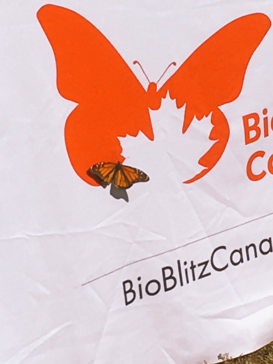 NorvalOutdoorSchool tweet media