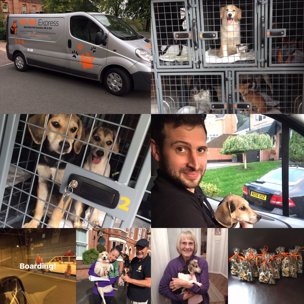 101petexpress's tweet photo. @TheoPaphitis Hi @TheoPaphitis we are a Specialist Pet Courier transporting dogs across EU/UK. Working with Charities &amp; Cypriot rescues #sbs https://t.co/g5inI0WO0y