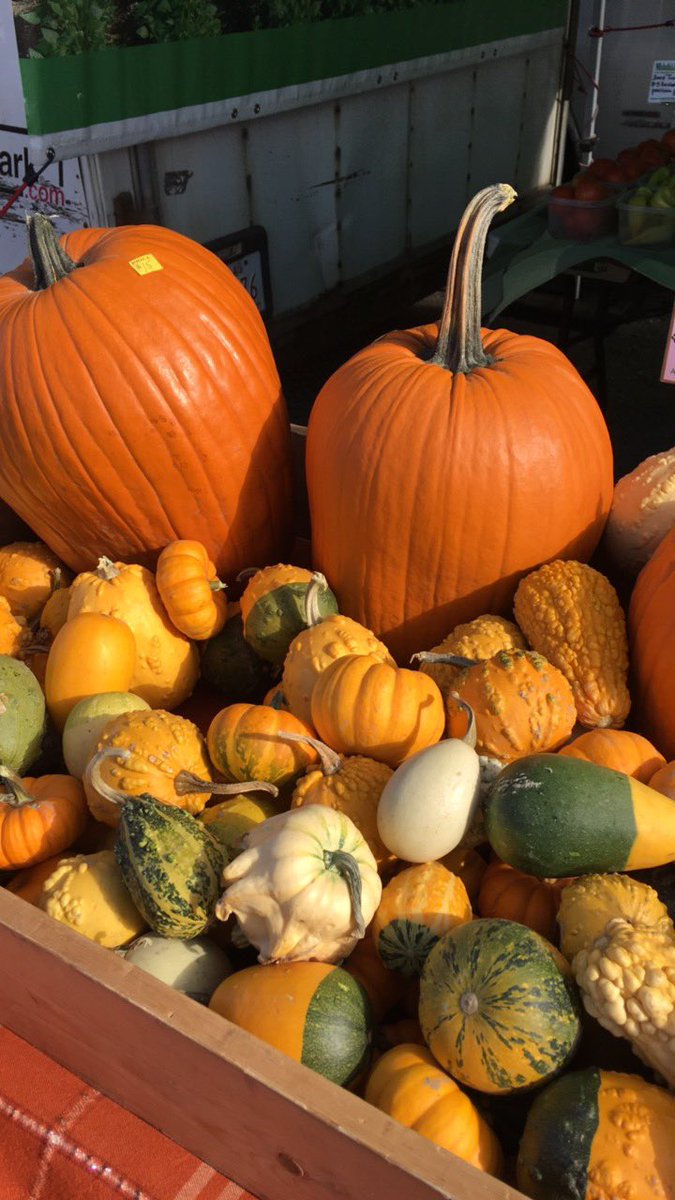 BPLFarmersMkt's tweet photo. Bundle up for the market today! It's a chilly one but the sun is shining and check out these gorgeous fall colors! #farmersmarket #fall https://t.co/ak9IUAoYgo