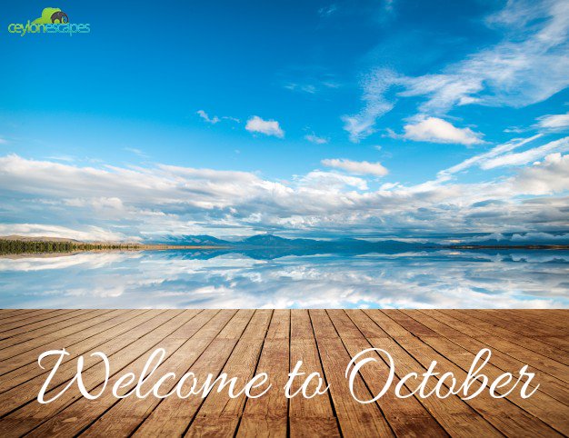 ceylon_escapes's tweet photo. Welcome to October 🌞🕶😎☀

#srilanka #travel #holiday #beautiful #islandlife #paradise #beach #travelling #relax #facebook #Sunday #October https://t.co/y4onlR9or7