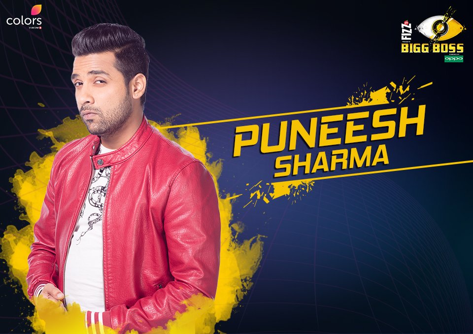 Bigg Boss Hindi Season 11 Contestants List with Photos (Updated)