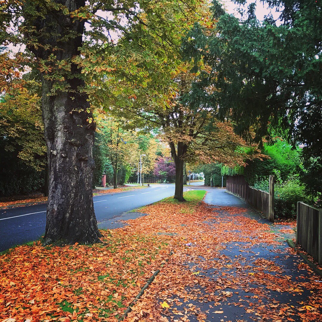 BeckiHall's tweet photo. It's 1st Oct-Which means the @Ronhill_UK #RunEveryDay #OctoberChallange! Those autumn leaves made it worthwhile. 4miles 👌🏼🏃🏻‍♀️🍁🍂 #runhappy https://t.co/S4kSWhQEmI