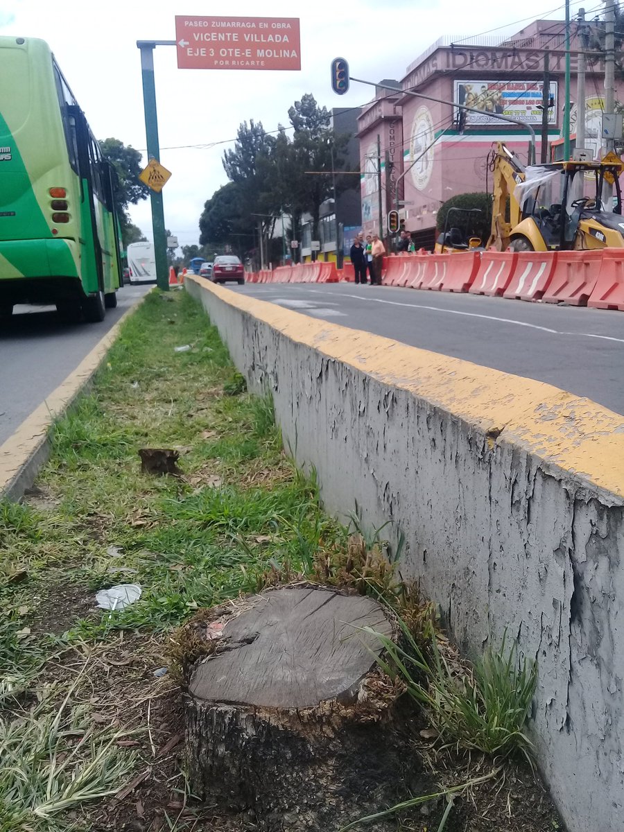 RedEmpGAP's tweet photo. Sigue #Ecocidio X #Linea7Metrobus @EstrellaColonia @Patri17Carrasco @lazosrp1 @Col_Gpe_Tepeyac @SuarezdelReal1 @ConejuelA @Col_Industrial https://t.co/KIWQDUyWvF