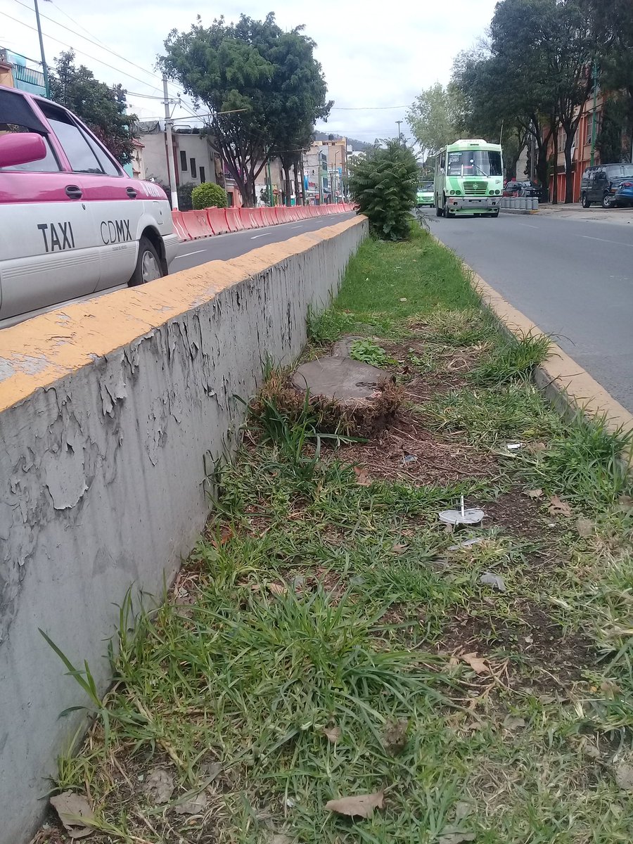 RedEmpGAP's tweet photo. Sigue #Ecocidio total #Linea7Metrobus #CDMX @semanal12 @SomosCiudadMX @ExHipPeralvillo @v_peralvillo @gramodmusica @vebuart_1 @vitarbol_org https://t.co/ytQWiCpeaa
