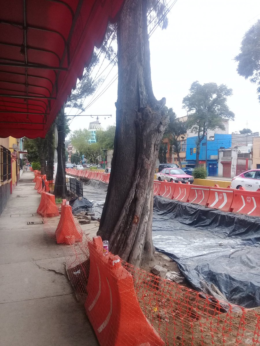 RedEmpGAP's tweet photo. Sigue #Ecocidio total #Linea7Metrobus #CDMX @semanal12 @SomosCiudadMX @ExHipPeralvillo @v_peralvillo @gramodmusica @vebuart_1 @vitarbol_org https://t.co/ytQWiCpeaa