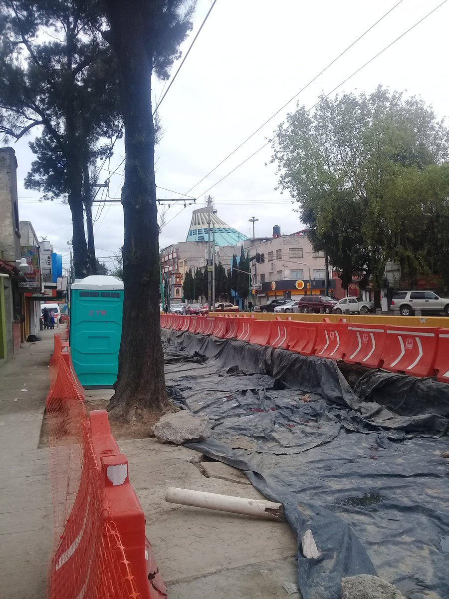 RedEmpGAP's tweet photo. Sigue #Ecocidio total #Linea7Metrobus #CDMX @semanal12 @SomosCiudadMX @ExHipPeralvillo @v_peralvillo @gramodmusica @vebuart_1 @vitarbol_org https://t.co/ytQWiCpeaa