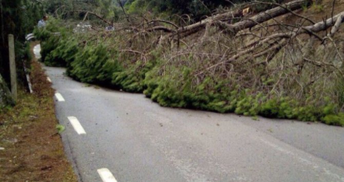 Ver imagen en Twitter