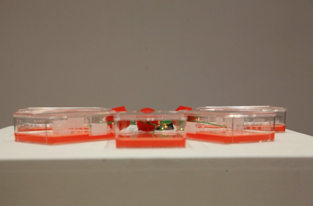 BenjaminFreeth's tweet photo. Presenting Speculative Prototypes: "Resonant Hermeneutics" paper at ISACS17, ZKM Karlsruhe @Muzz_Haniffa @wellcometrust https://t.co/WVbmRfblzw
