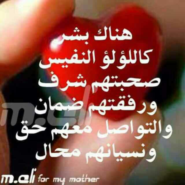 حبيب  اليماني 💝إب (@mic8kvf3msarnns) on Twitter photo 