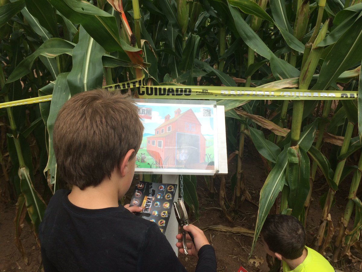 CTnewshound's tweet photo. Corn Maze at Fair Weather Acres #RockyHill #CTfall https://t.co/6V9Snusqkt