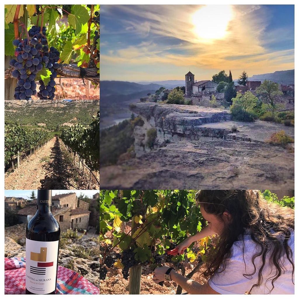 FoodGoblin1's tweet photo. This September we went to wild Catalonia to explore the region's best off the beaten wine trails! Post 1 is up- he… https://t.co/rPHdYW5vX9 https://t.co/C7fwIsYga9