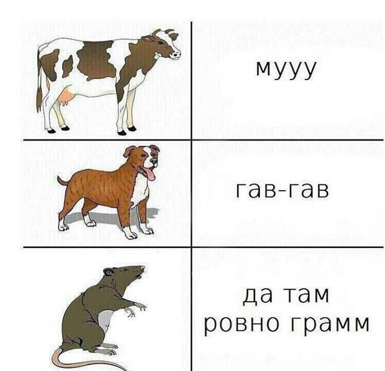 EdwardEncode's tweet image. Экскурс