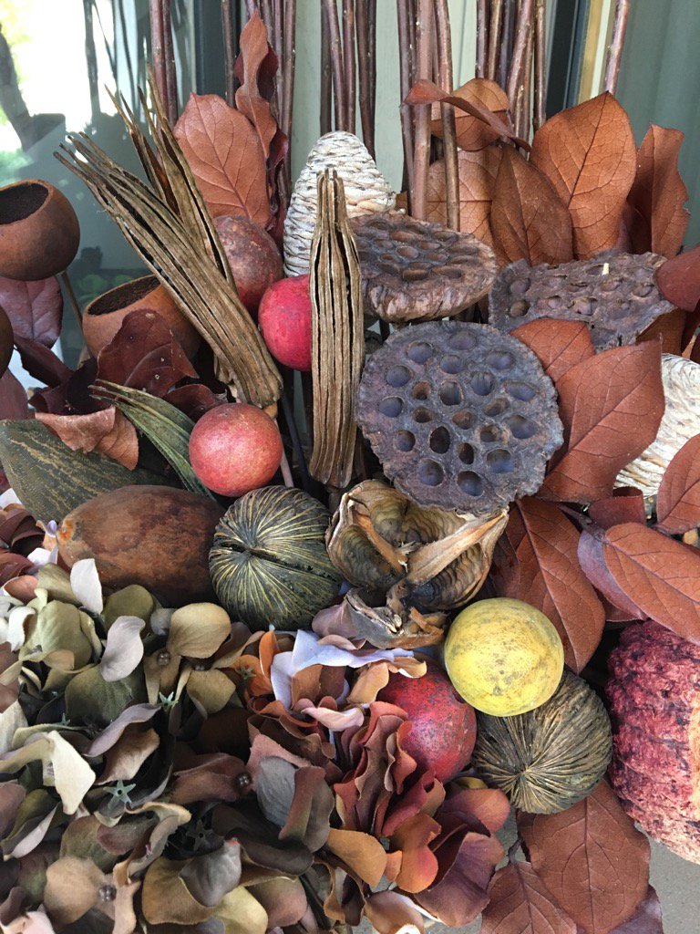 wsquareddesign's tweet image. We say goodbye to annuals... but hello to the muted texture of fall! #yycplants #sweaterweather #hellofall