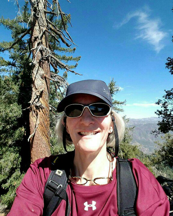 Harvardwood's tweet photo. Huge thank you to Stacy Cohen, Harvardwood CoFounder & Director of #HWHelps | #nationaltrailsday #OptOutside https://t.co/qTmlcNDz09 https://t.co/jfZW8G31s1