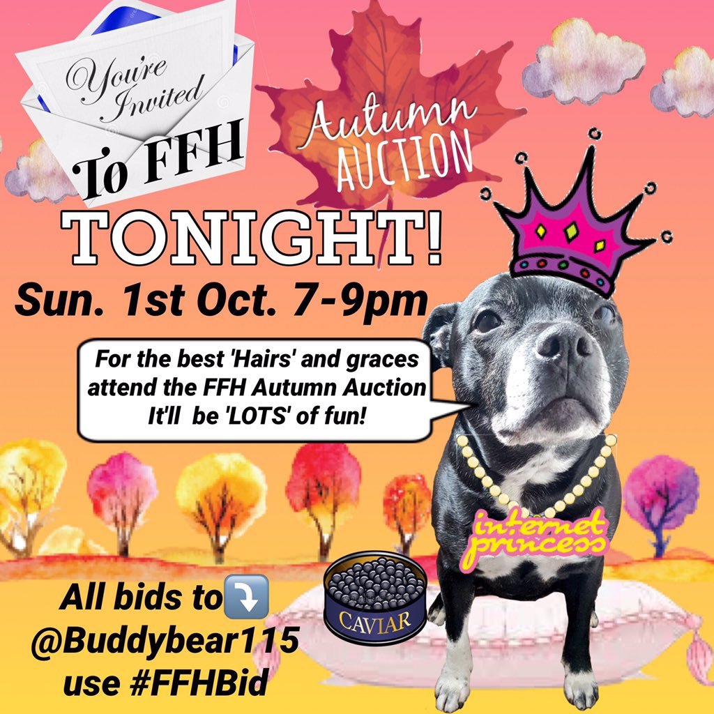 _Pehicc's tweet photo. @NWDogRescue #autumnauction!
7-9pm UK
11a PDT 3p EDT
Bid a few £pounds for the hounds🎁!
Or 🙏🏻RT items?
⏩@Buddybear115 will tweet https://t.co/xyrdDj3Q8n