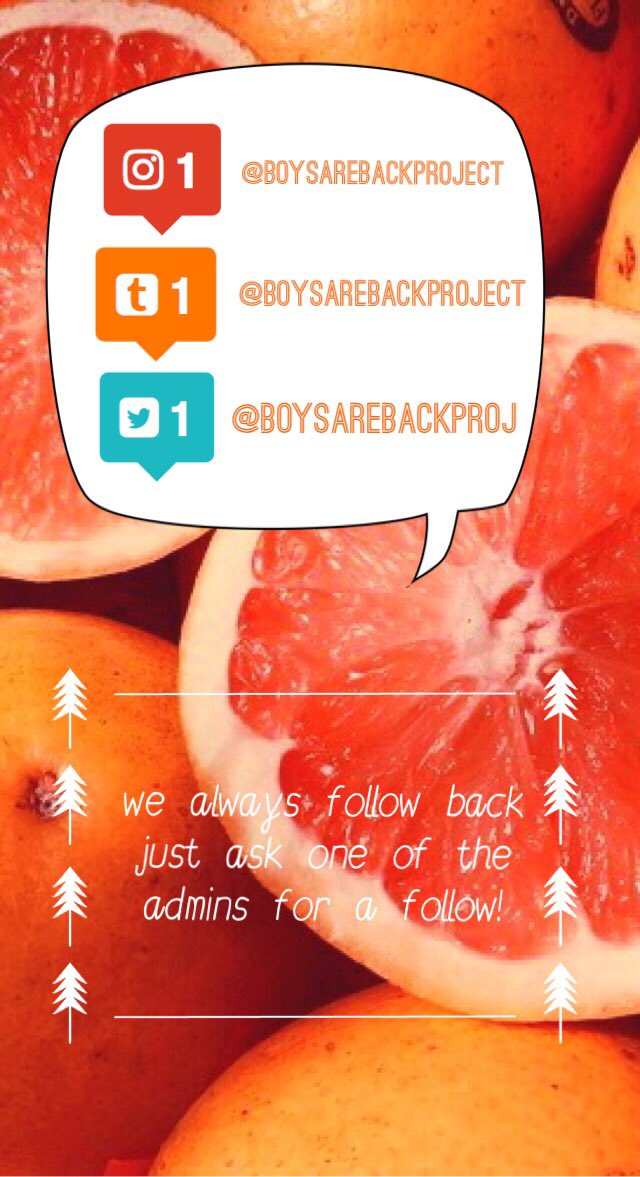 boysarebackproj's tweet photo. #boysarebackproject lets get this project rolling! https://t.co/uONiNop8IB