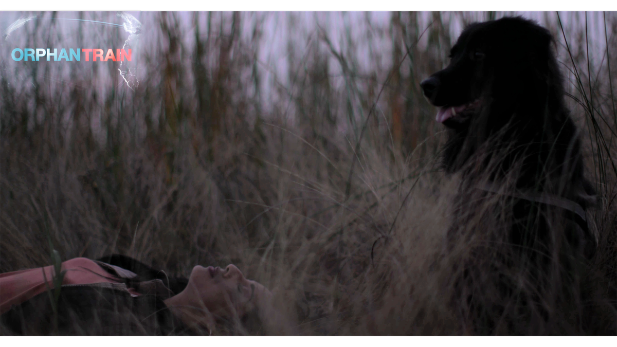 OTrainFilm's tweet photo. Happy #nationalblackdogday to #OrphanTrain actor Gablu Ray-B from ORPHAN  TRAIN Film and Series, seen here in a still from the film with Actress MAHIE GILL. @OTrainFilm #orphantrainfilm #orphantrainseries https://t.co/3oMWRZIjbB