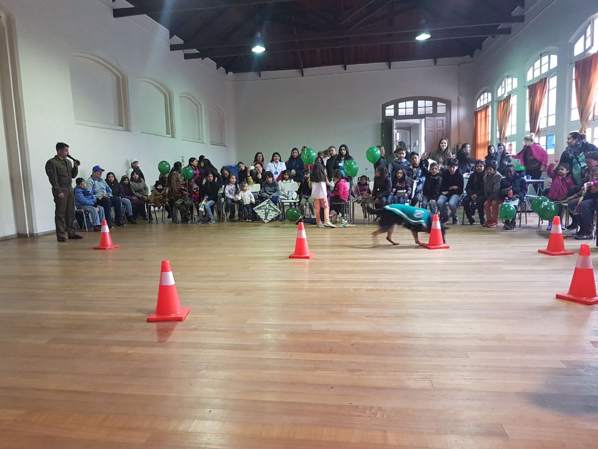 PerrosSec's tweet photo. Visita a colegio de la región metropolitana . https://t.co/A47c0WWctZ