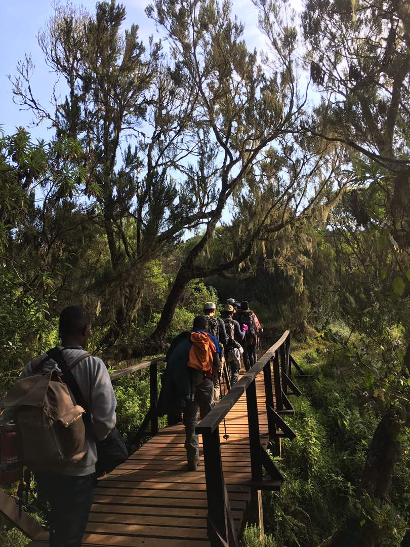 Suzan_Temba's tweet image. The rainforest in KINAPA..
the evergreen reserved area in the park..
#missionGogreen
#roadtokilli
#WTD2017 @rottanzania @MwombekiA @ecay247